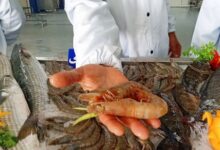 مشروع غليون