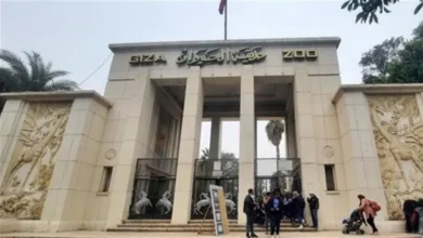 تطوير حديقة الحيوان بالجيزة