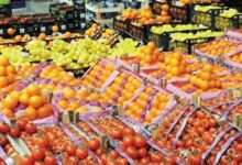 الصادرات الزراعية المصرية تسجل رقمًا قياسيًا جديدًا بـ5.8 مليون طن.. الموالح في الصدارة