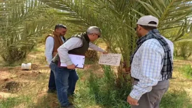 «بحوث الصحراء» يتابع مشروعات الزراعة المستدامة في توشكى