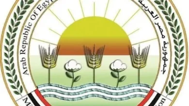 مصر ولبنان يوقعان بروتوكول تعاون جديد لاستيراد الأبقار الحية وتصديرها لحومًا لدعم الأمن الغذائي