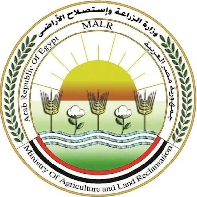 مصر ولبنان يوقعان بروتوكول تعاون جديد لاستيراد الأبقار الحية وتصديرها لحومًا لدعم الأمن الغذائي