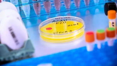 دراسة حديثة تؤكد أن مناعة H1N1 تقلل من خطر الإصابة بفيروس H5N1 القاتل