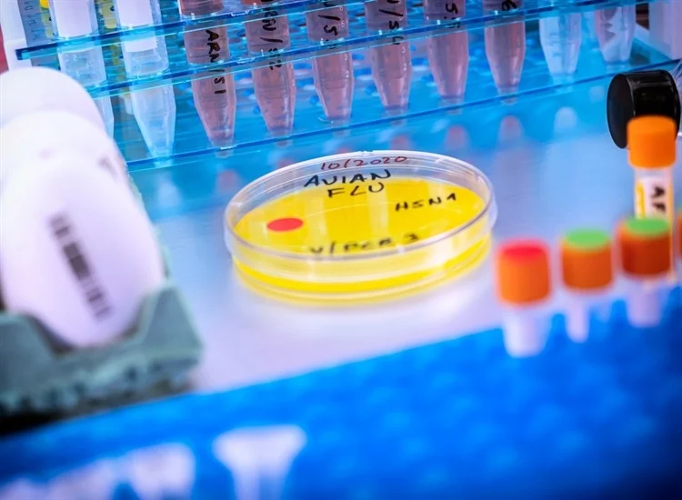 دراسة حديثة تؤكد أن مناعة H1N1 تقلل من خطر الإصابة بفيروس H5N1 القاتل
