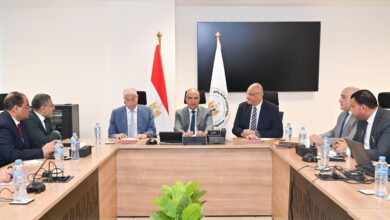 وزير الري يلتقي محافظ القليوبية