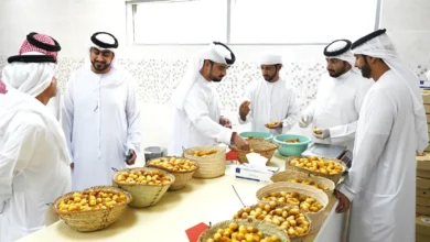 مهرجان الذيد للرطب يختتم فعالياته بدعم الابتكار الزراعي ومشاركة واسعة من المزارعين