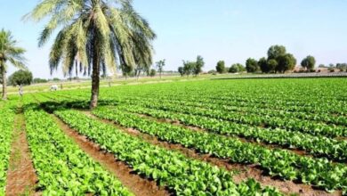 وزارة الزراعة العراقية تؤكد أن زيادة الإطلاقات المائية من تركيا