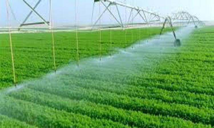 مشروعات التنمية الزراعية في مصر التوسع لتحقيق الأمن الغذائي والاكتفاء الذاتي