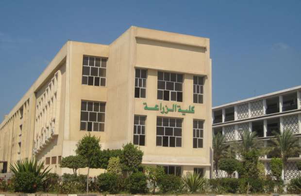 مستقبل كلية الزراعة