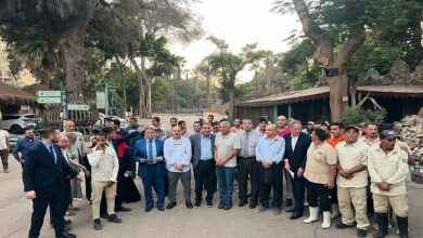 عودة حديقة الحيوان بالجيزة إلى التصنيف الدولي قريبًا