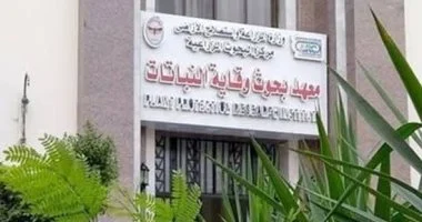 "الزراعة" تعلن حصول "وقاية النباتات" على تجديد واعتماد دولى لـ 12 اختبارًا