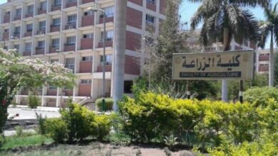 أقسام كلية الزراعة جامعة طنطا