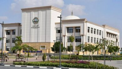 جامعة الإسماعيلية الأهلية 2025
