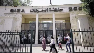 موعد افتتاح حديقة الحيوان بالجيزة 2025