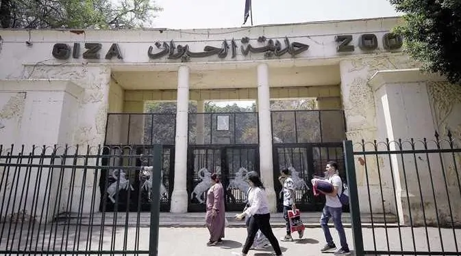 موعد افتتاح حديقة الحيوان بالجيزة 2025