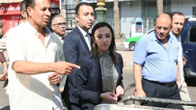 قافلة سيارات لبيع بيض المائدة بأسعار مخفضة في البحيرة