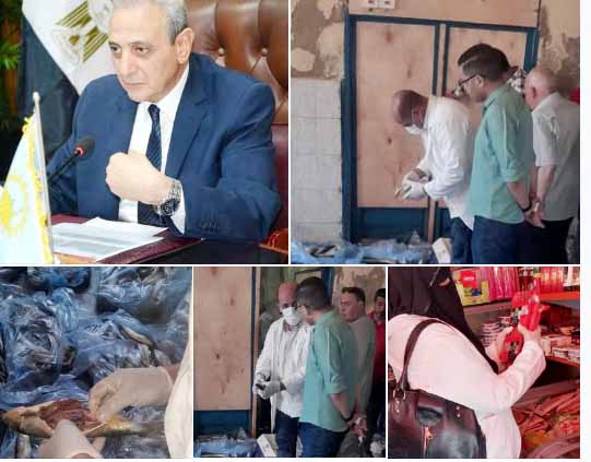 الطب البيطري يضبط أكثر من طن منتجات فاسدة بزفتى والسنطة