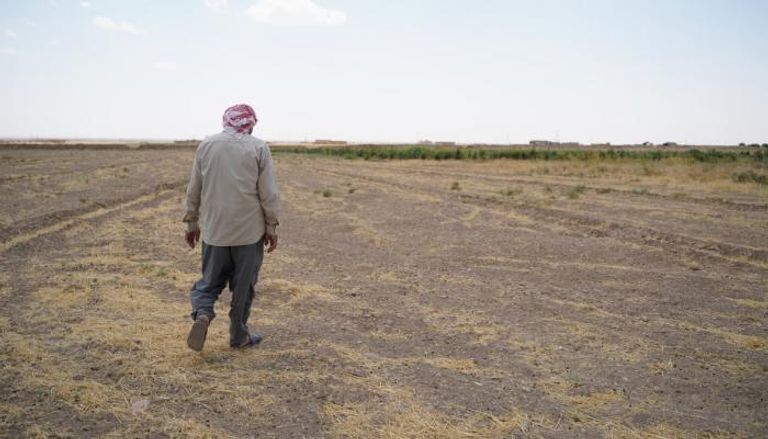 أسوأ جفاف منذ 36 عاماً يهدد سوريا بأزمة غذائية ونقص حاد في القمح
