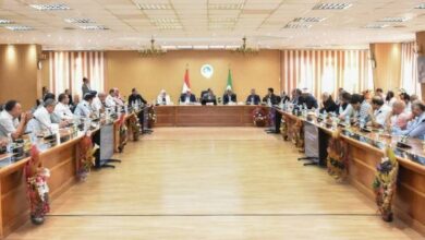 الزراعة تطلق خطة موسم قش الأرز 2025 بالشرقية