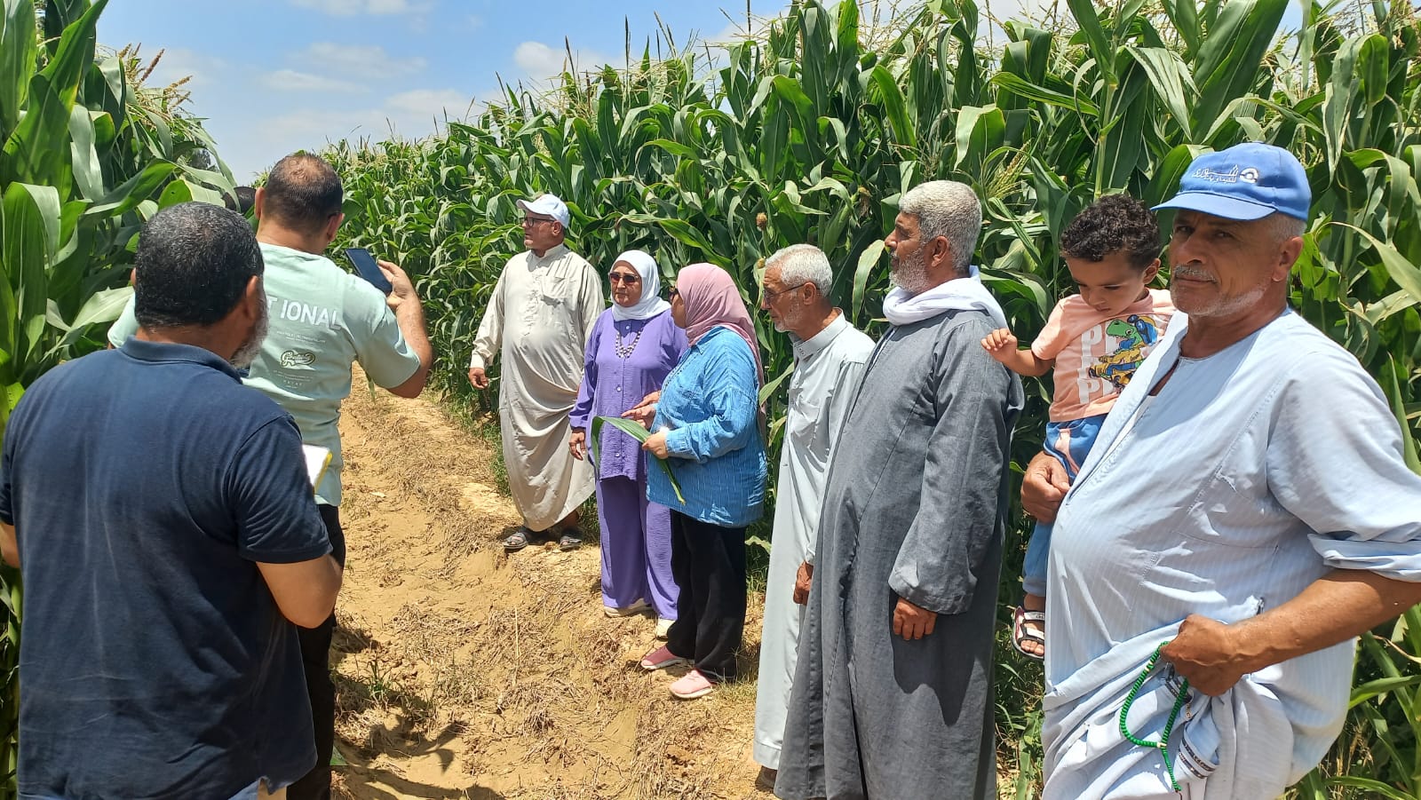 مراكز إرشادية للمحاصيل بالمحافظات
