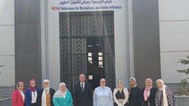 د سماح عيد مدير معهد صحة الحيوان وفريق الجودة في مركز التدريب