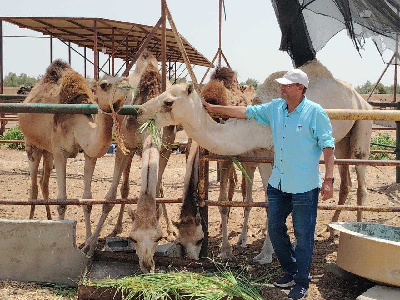 إنتاج أعلاف غير تقليدية لتربية الثروة الحيوانية