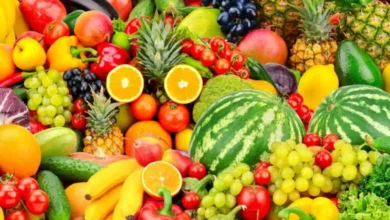 المغرب يعزز حضوره في السوق الإسبانية وسط تصاعد المخاوف من تنافسية المنتجات المحلية