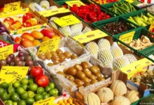 المغرب يرفع صادرات الفواكه والخضروات إلى إسبانيا بنسبة 30%