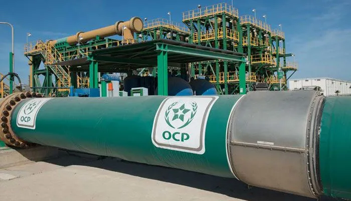 شركة OCP المغربية تفوز بعقد بقيمة 34.5 مليون دولار لتوريد 40 ألف طن من سماد DAP إلى بنغلاديش