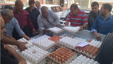 بتخفيضات تصل 25%.. الإصلاح الزراعي يضخ لحومًا وبيضًا وسلعًا غذائية في 60 منفذًا