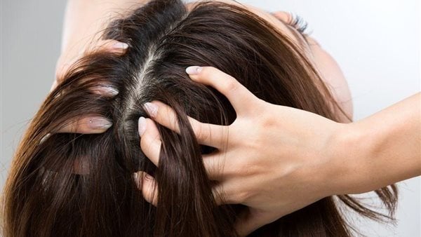 تفسير حلم نزع القمل من الشعر للمتزوجة