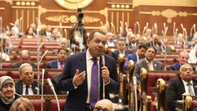 عبد السلام الجبلي يشيد بدور الفلاح المصري في عيد الفلاح الـ73