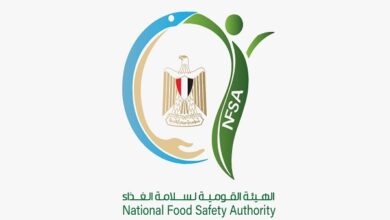 مصر تصدر 165 ألف طن أغذية إلى 177 دولة خلال أسبوع