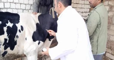 قافلة بيطرية مجانية لدعم المربين والماشية في قنا