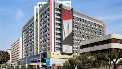 الزراعة وصيد الأسماك تتصدر الأنشطة الاقتصادية في مصر بنسبة 21.3% من إجمالي المشتغلين