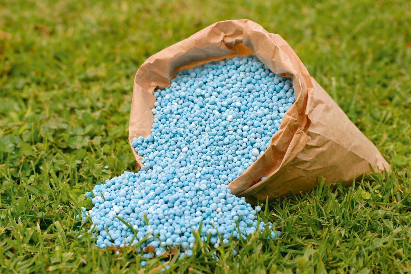 الزراعة: لا زيادة في أسعار الأسمدة المدعمة للمزارعين المستحقين