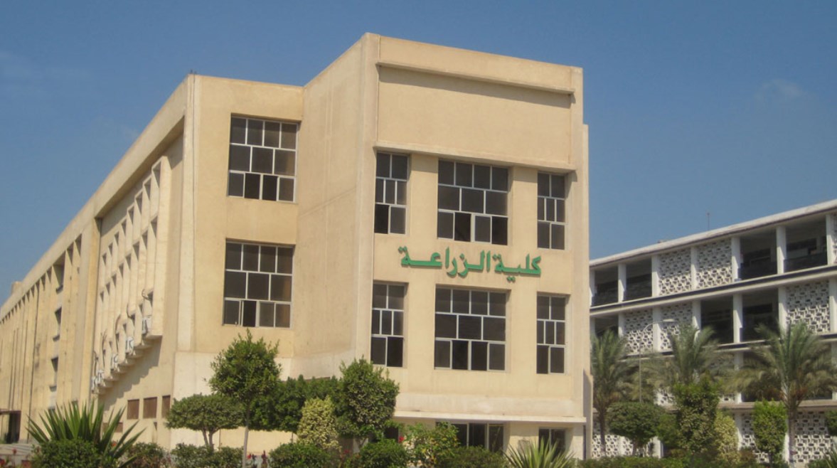 نتيجة تنسيق كلية زراعة 2025