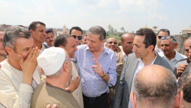 وزير الزراعة يهنئ فلاحي مصر بالعيد الـ73 للفلاح: الركيزة الأساسية للأمن الغذائي