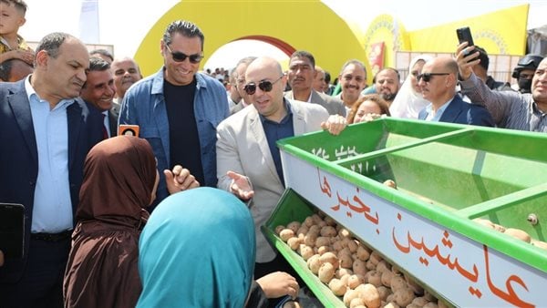 انطلاق الموسم السادس من مشروع "عايشين بخيرها" ببني سويف والمنيا لدعم زراعة البطاطس