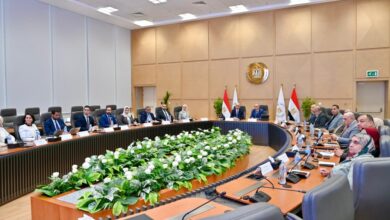 لقاء وزير الري مع نظيره البحريني