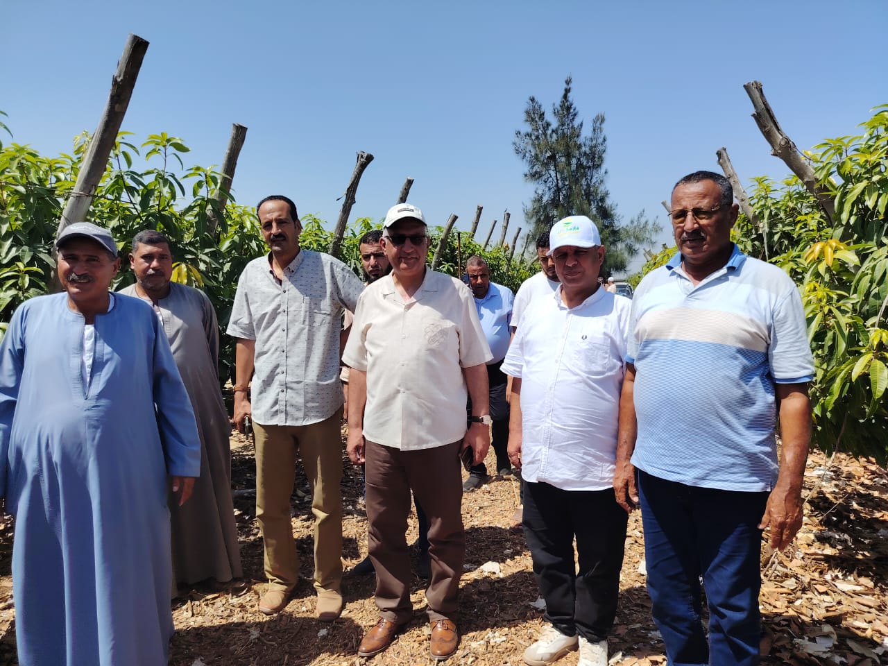 جولة وفد إستصلاح الأراضي في النوبارية