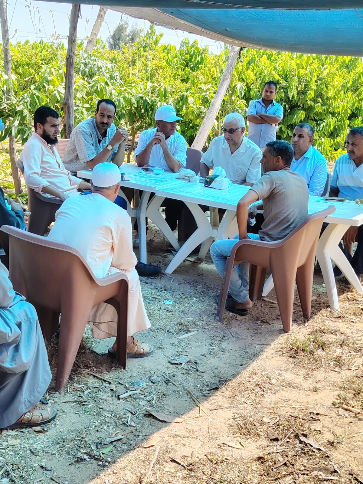 جولة وفد إستصلاح الأراضي في النوبارية