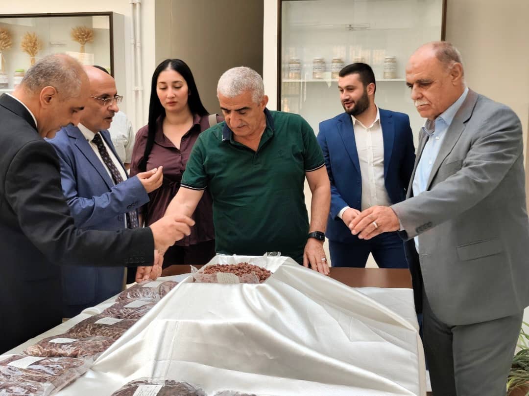 أكساد تبتكر مخصب زراعي جديد