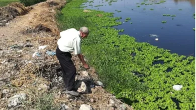 بدء الحملة القومية لمكافحة القوارض بالجيزة