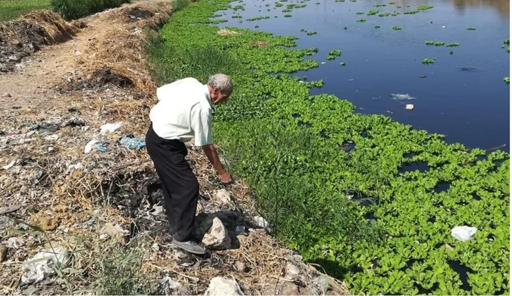 بدء الحملة القومية لمكافحة القوارض بالجيزة