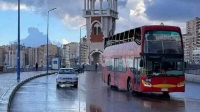 مواعيد نوات شتاء 2025 في الإسكندرية