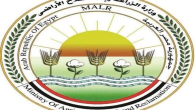 الزراعة: الامتناع عن إطعام الكلاب الضالة مخالفة للقانون وتعاليم الدين