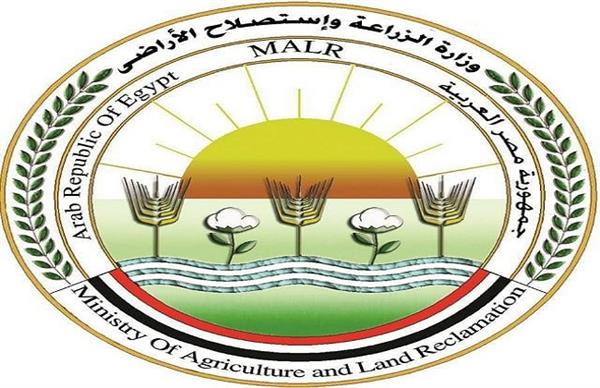الزراعة: الامتناع عن إطعام الكلاب الضالة مخالفة للقانون وتعاليم الدين