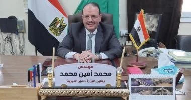 المنيا تستعد لزراعة 217 ألف فدان قمح.. ووكيل الزراعة: خطة مكثفة لتحقيق إنتاجية قياسية