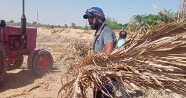 الزراعة بالوادي الجديد تطلق مبادرة لفرم مخلفات النخيل وتعظيم الاستفادة منها